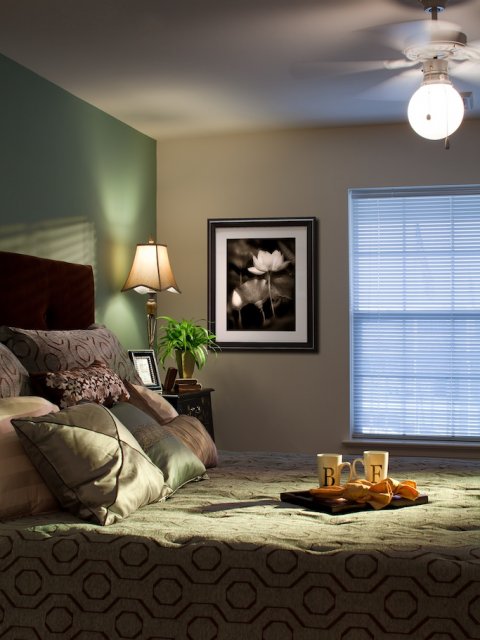 Image of Ceiling Fan for The Crest at Elm Tree