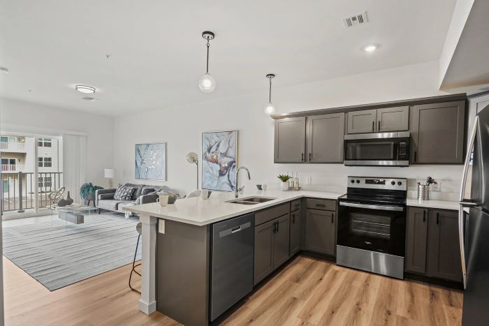 Emerson Flats stylish kitchen featuring stainless steel appliances and vinyl plank flooring.