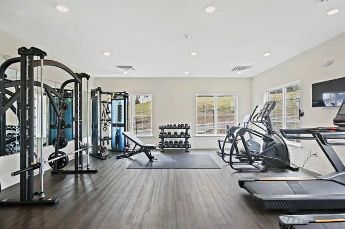 Fitness center at Emerson Flats with exercise equipment and TV.