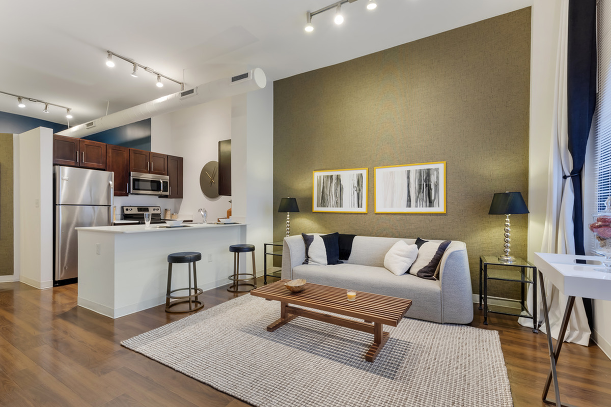 Stylish open-concept apartment with a modern kitchen, cozy living room, and elegant decor