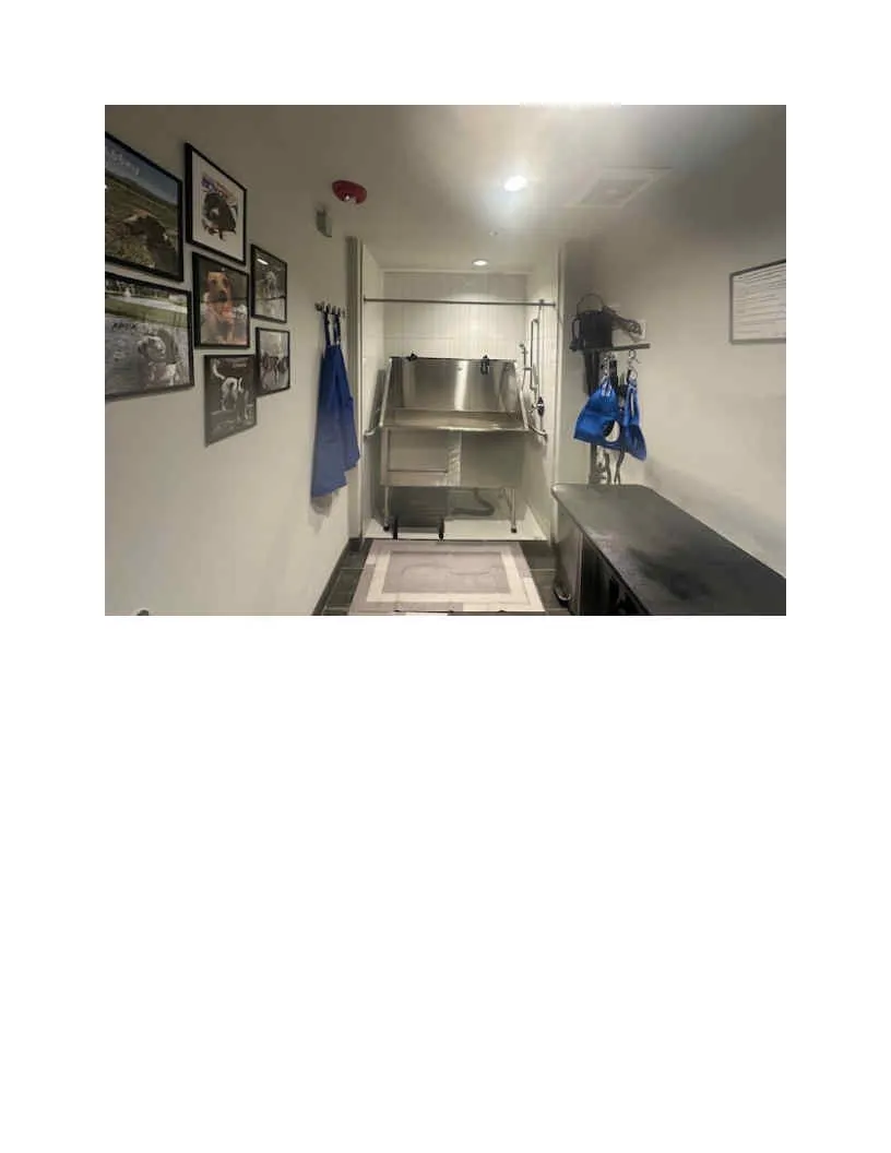 Modern pet grooming room with a stainless steel wash station, coat hooks, and vibrant wall art. Perfect for pet lovers seeking convenience and style.