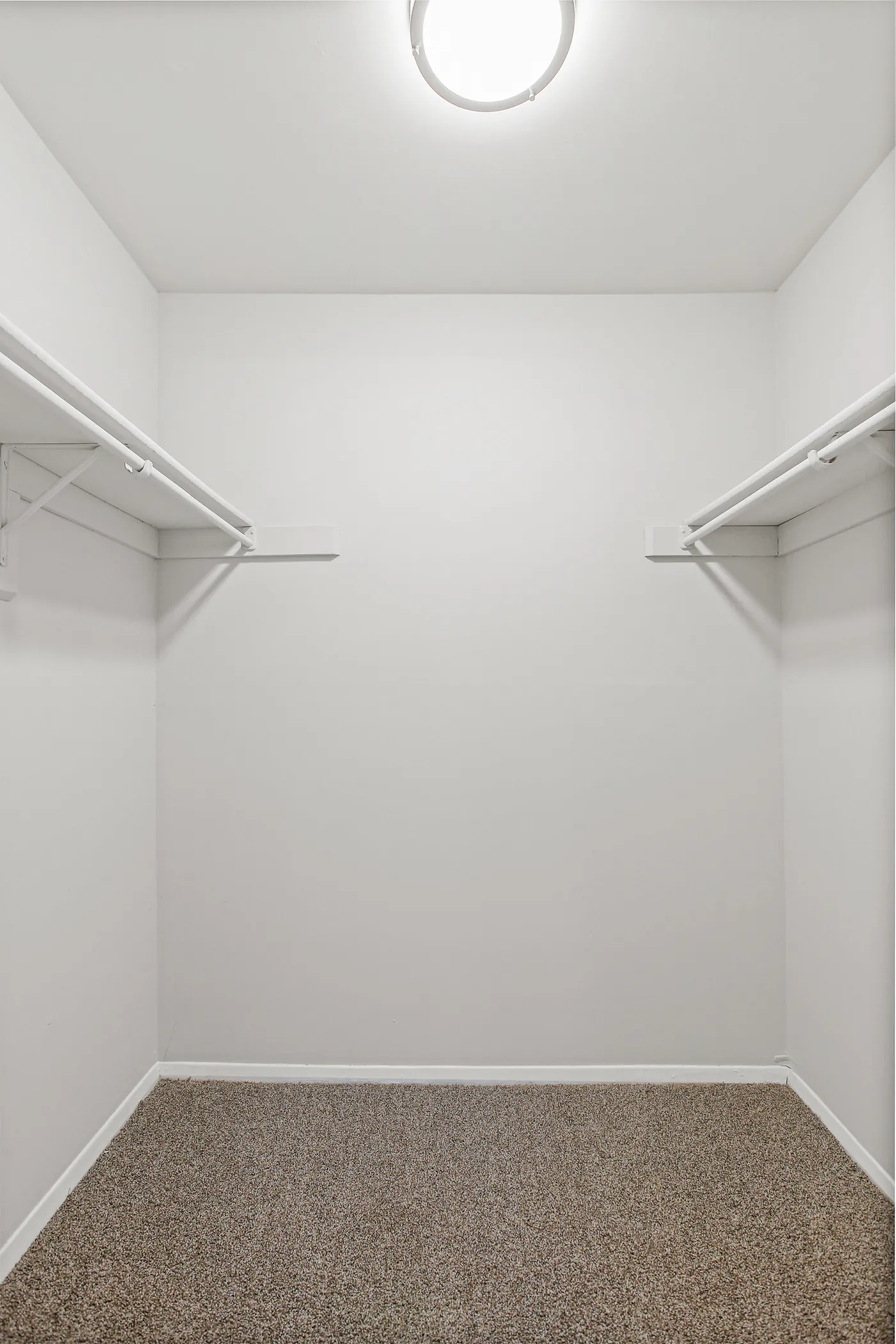 Spacious walk-in closet with ample shelving and soft carpeting, perfect for organized storage.