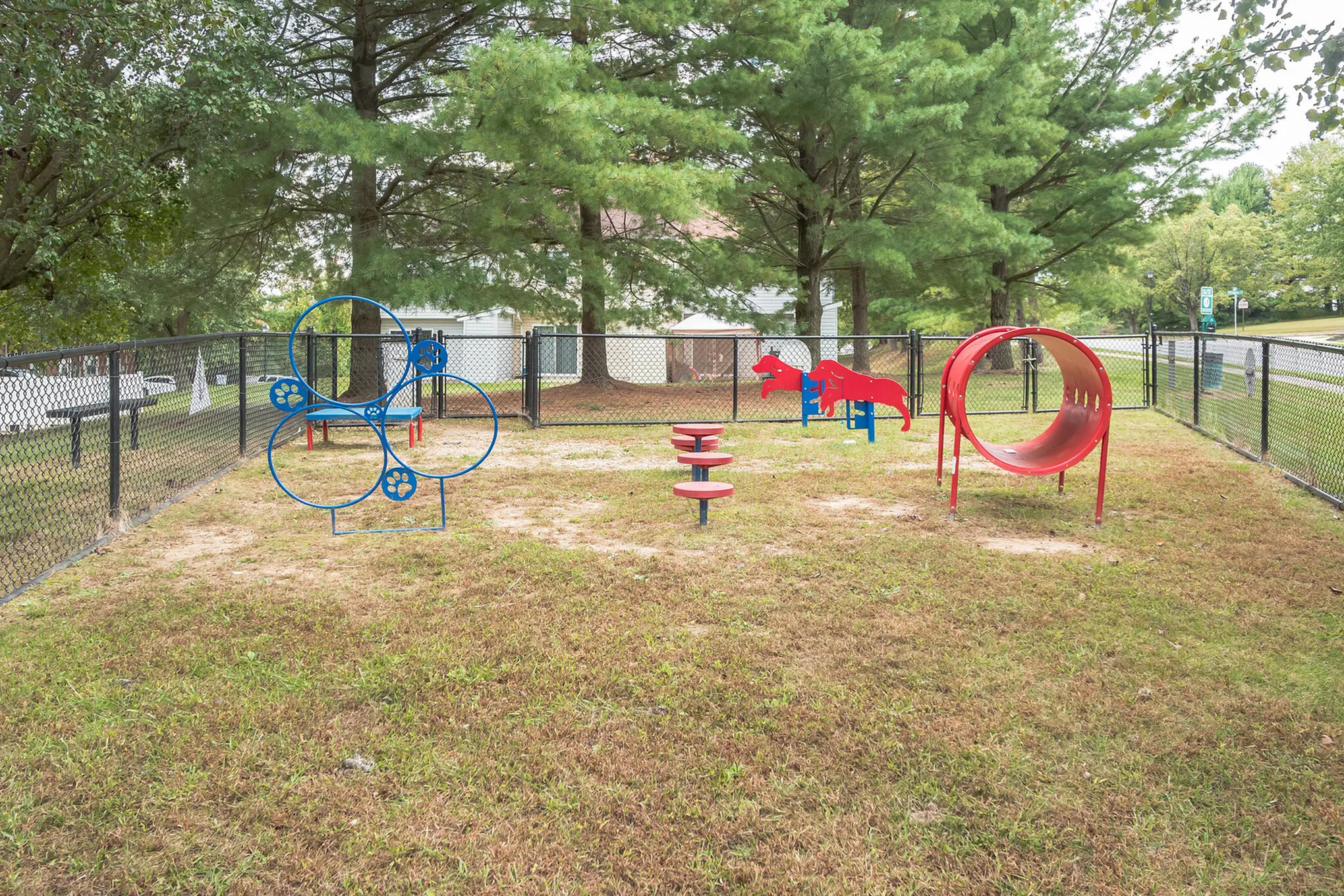 Charming pet-friendly play area with bright red and blue agility equipment, nestled in a serene green landscape.
