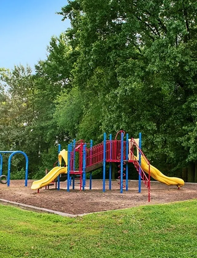 Inviting playground with vibrant slides and swings surrounded by lush green trees, perfect for family fun.