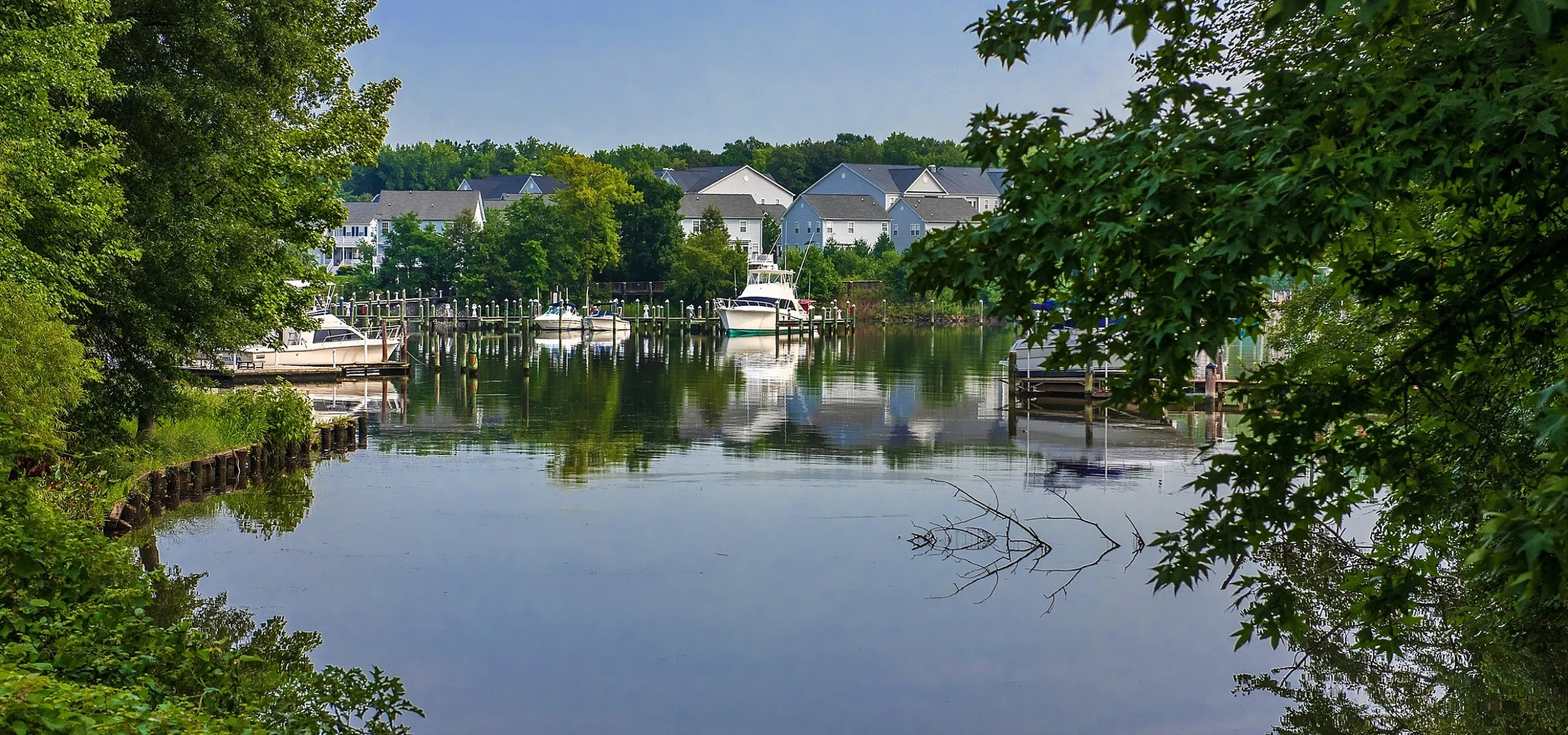Tranquil waterfront view with boats docked along a serene inlet, surrounded by lush greenery and charming residential homes.