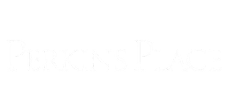 Elegant logo design featuring the text 'Perkins Place' in a sophisticated font, creating a luxurious and inviting brand image.