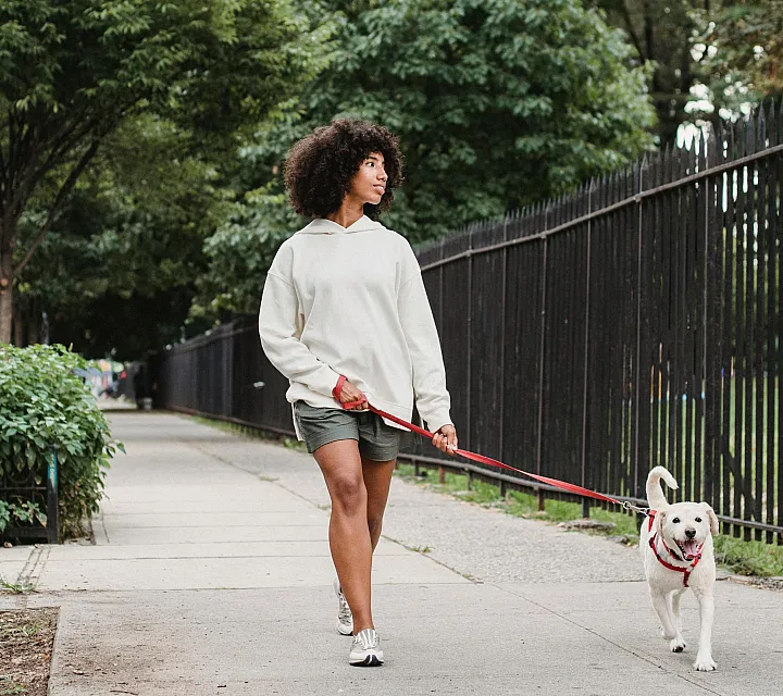 Person enjoying a leisurely walk with a happy dog along a tree-lined path, showcasing a vibrant and pet-friendly neighborhood.