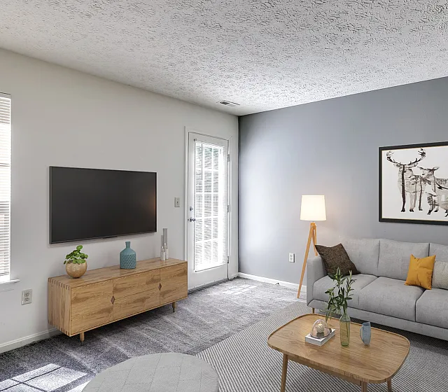 Bright, modern living room featuring a sleek grey sofa, stylish decor, and plenty of natural light.