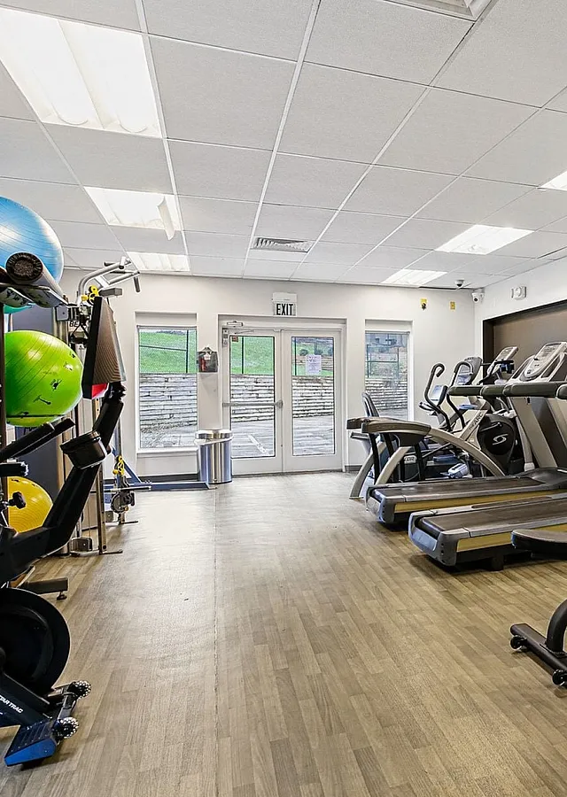 Modern fitness center with treadmills, exercise bikes, and colorful fitness balls, perfect for an invigorating workout experience.