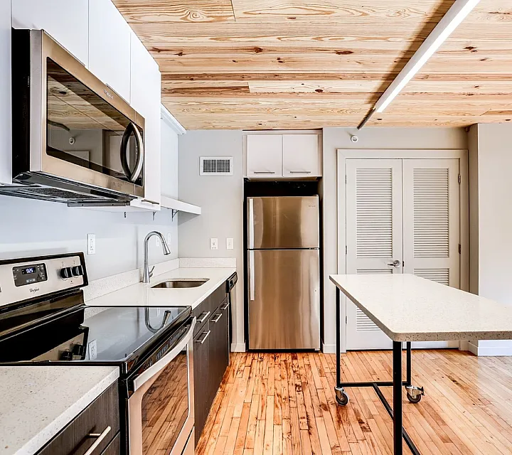 Chic modern kitchen featuring stainless steel appliances, sleek countertops, and warm wooden flooring, perfect for culinary enthusiasts.