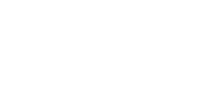 Elegant Butler Ridge logo in stylish blue typography.