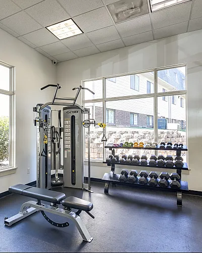 Sunlit fitness room with modern exercise equipment and a view of lush greenery through large windows.