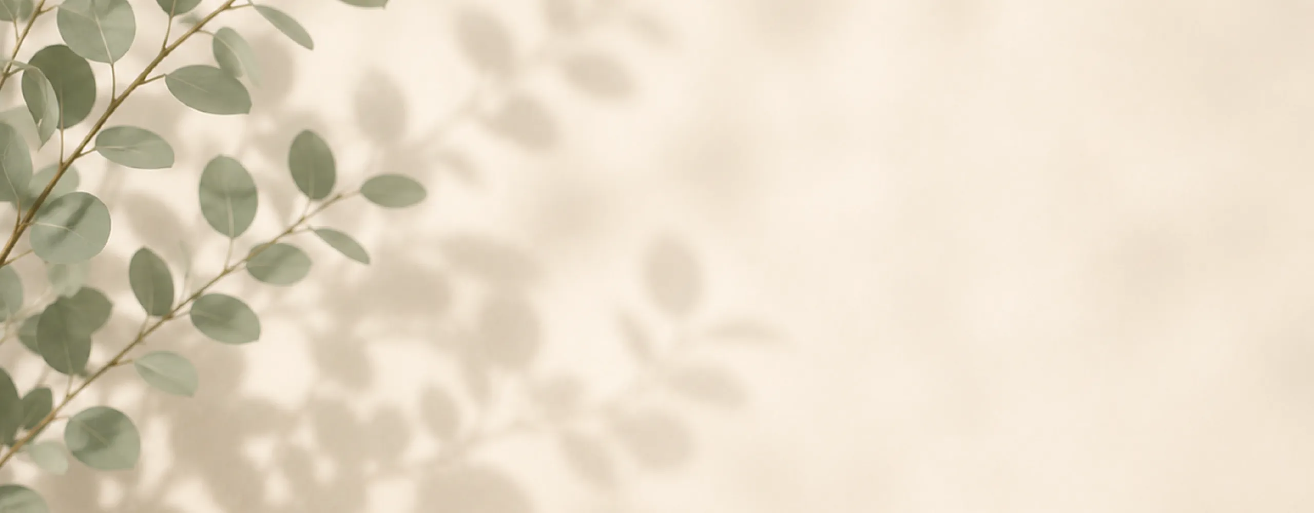 Elegant shadow of eucalyptus leaves on a sunlit beige wall, creating a serene and natural ambiance.