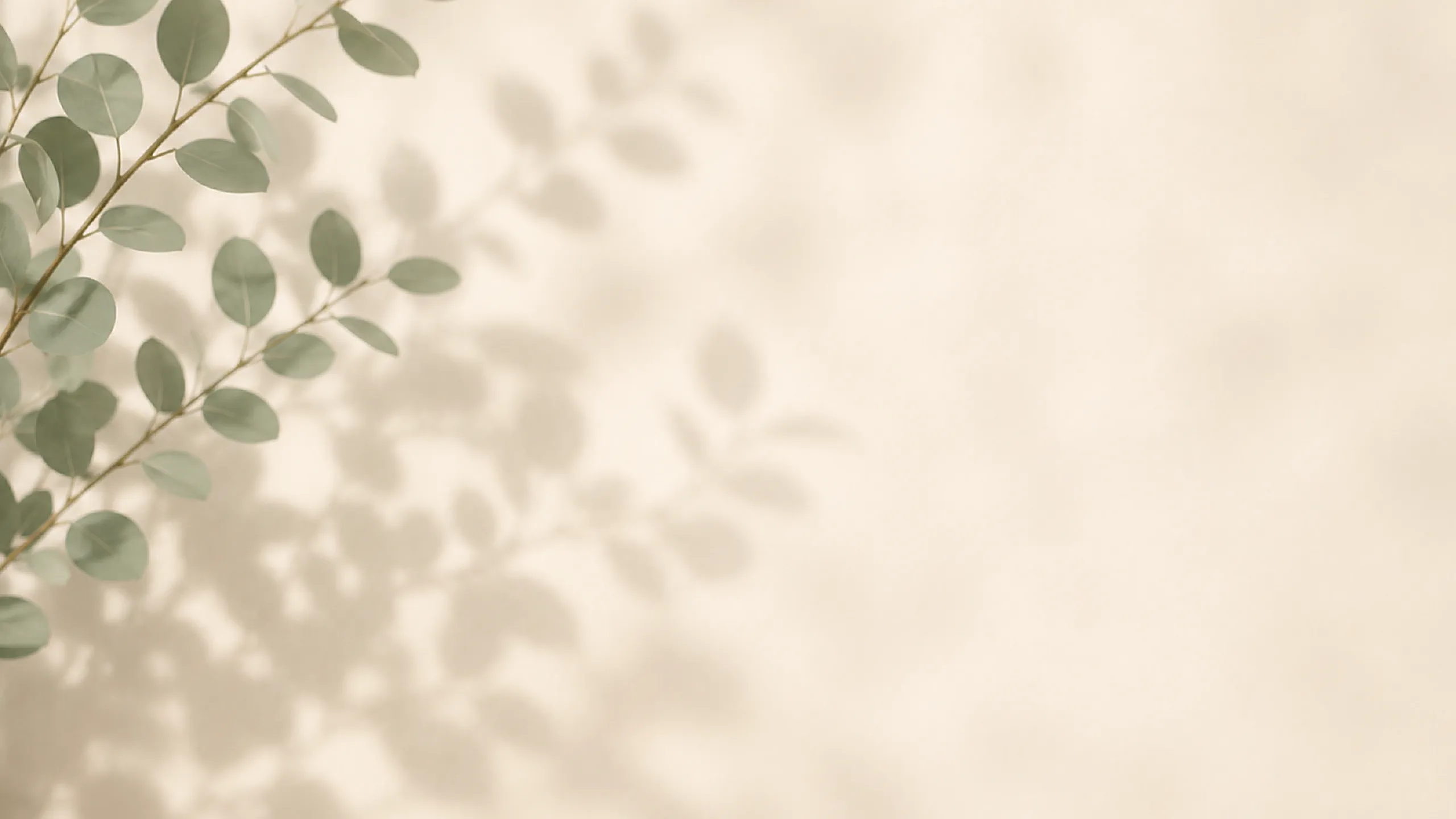 Elegant wall with soft, natural plant shadow, creating a tranquil and inviting atmosphere.