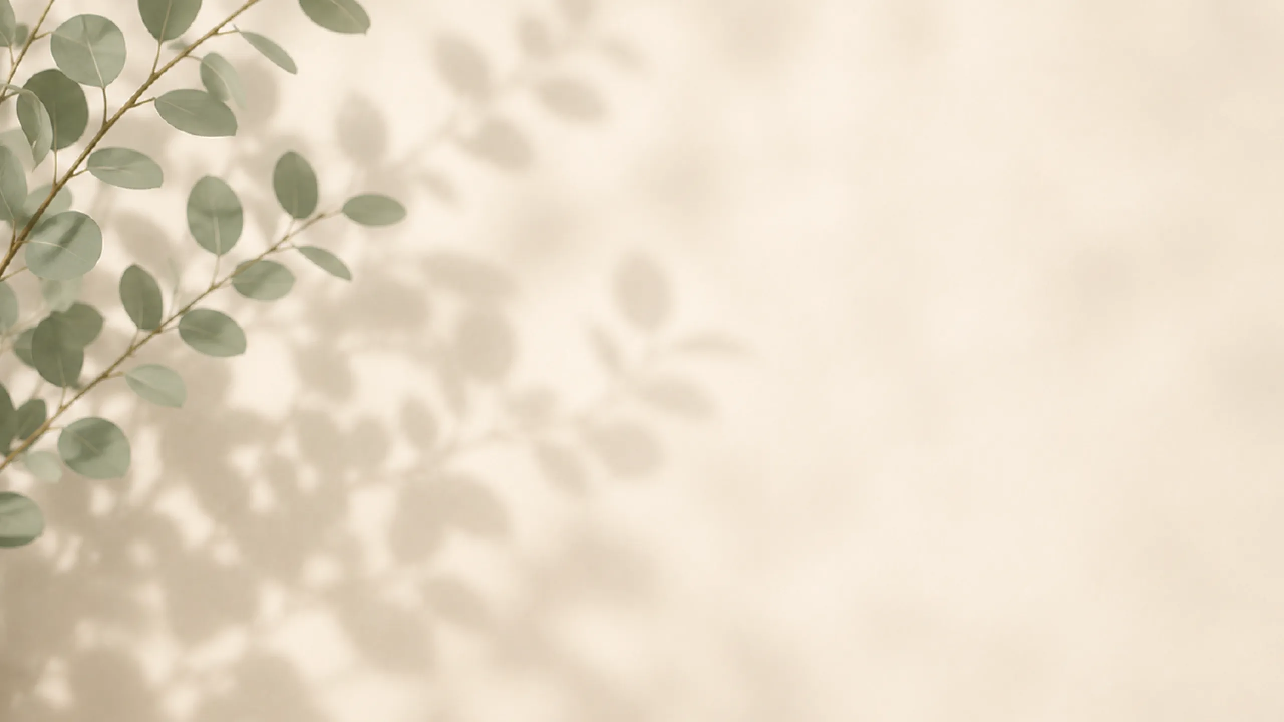 Elegant wall with soft green eucalyptus leaves casting artistic shadows on a neutral backdrop.