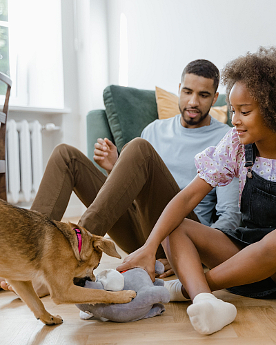 Cozy living room scene with a young girl and a man playing with a playful dog on a stylish wood floor, creating a warm and inviting atmosphere.