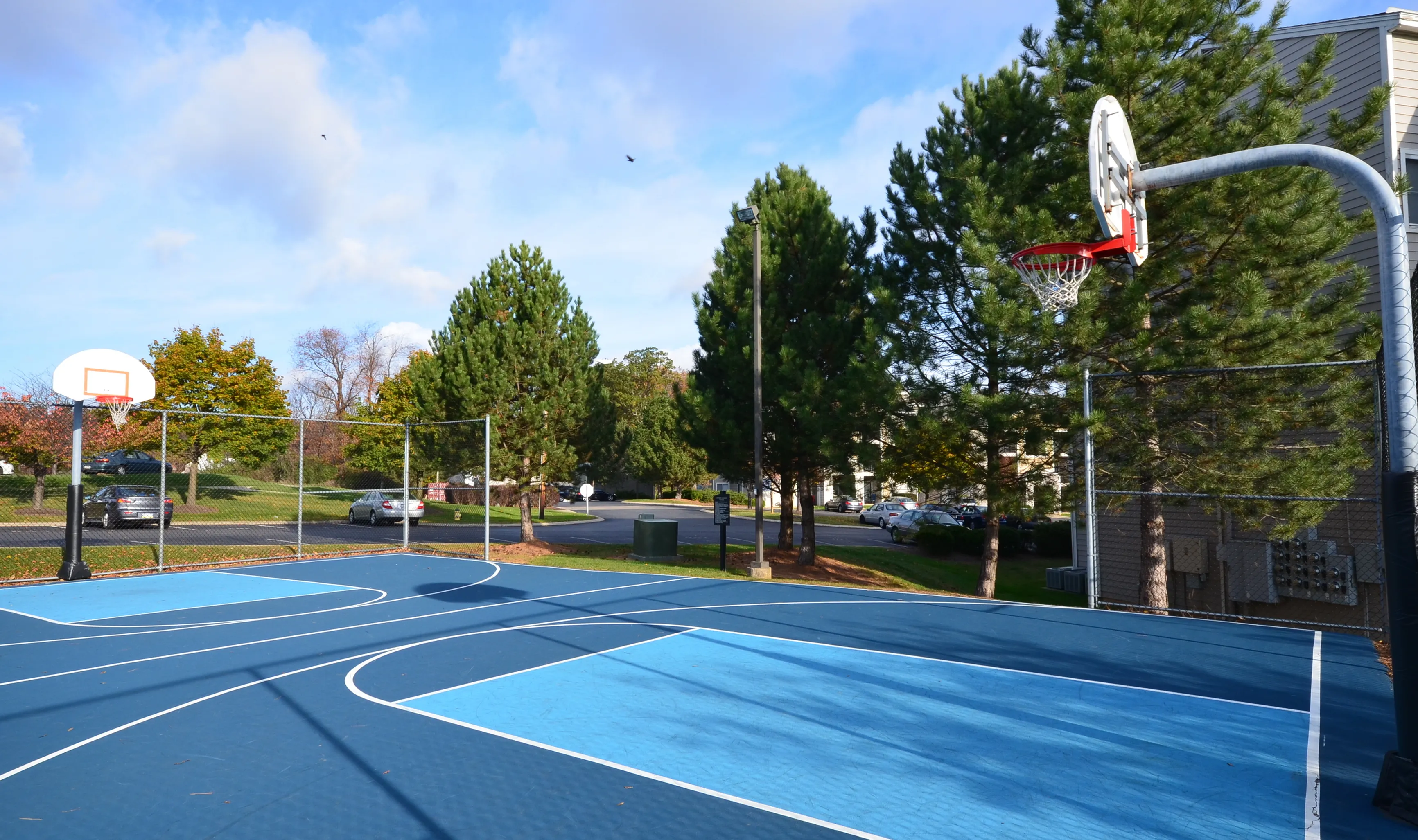 Inviting outdoor basketball court surrounded by lush trees, perfect for community games and recreation.