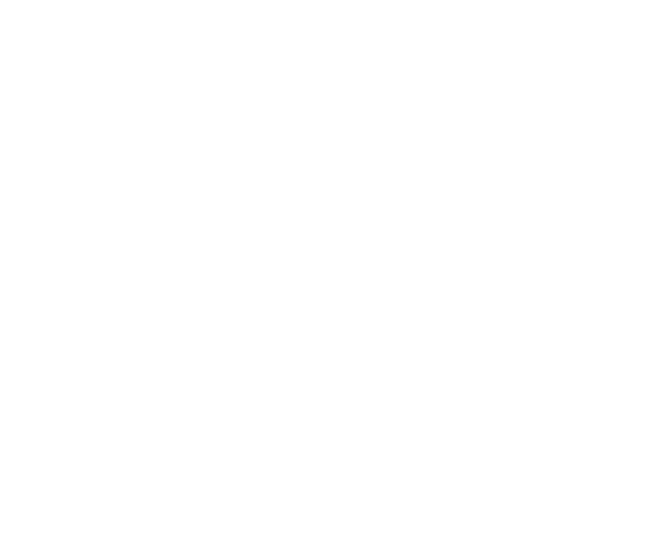 Eclipse All White Logo