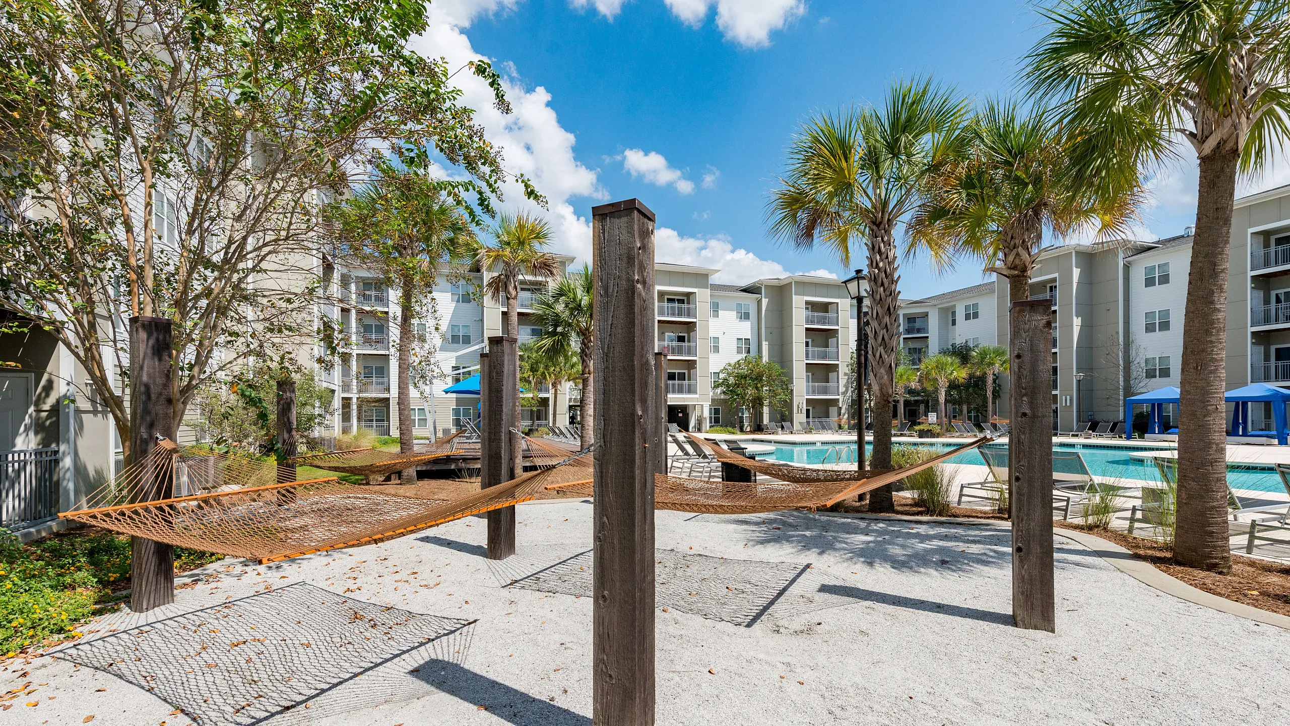 Vibrant apartment community showcasing lush palm trees, relaxing hammocks, and a crystal-clear swimming pool under a bright blue sky.