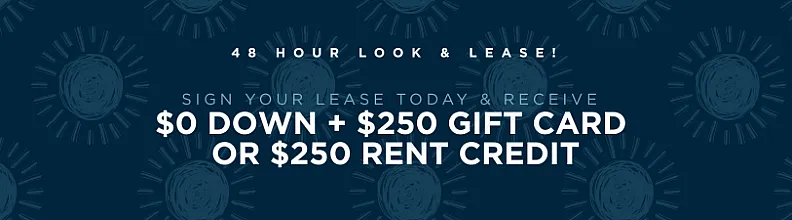 Exciting 48-hour lease offer: Sign your lease today and enjoy $0 down with a $250 gift card or rent credit.