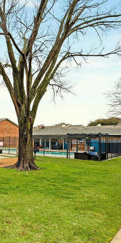 Inviting apartment complex courtyard with lush green spaces, picnic tables, and a basketball court, creating a vibrant community atmosphere.