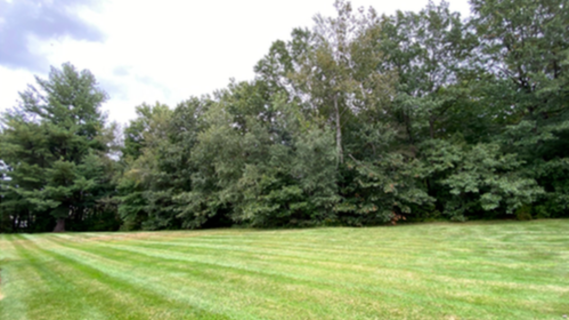 Halfmoon Garden Apartments Clifton Park NY