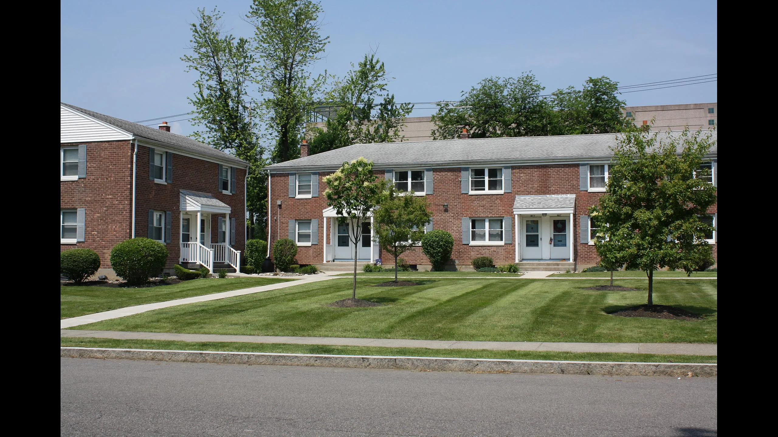 Tree-lined walkway and lawn between apartment buildings at Adams Park Apartments
