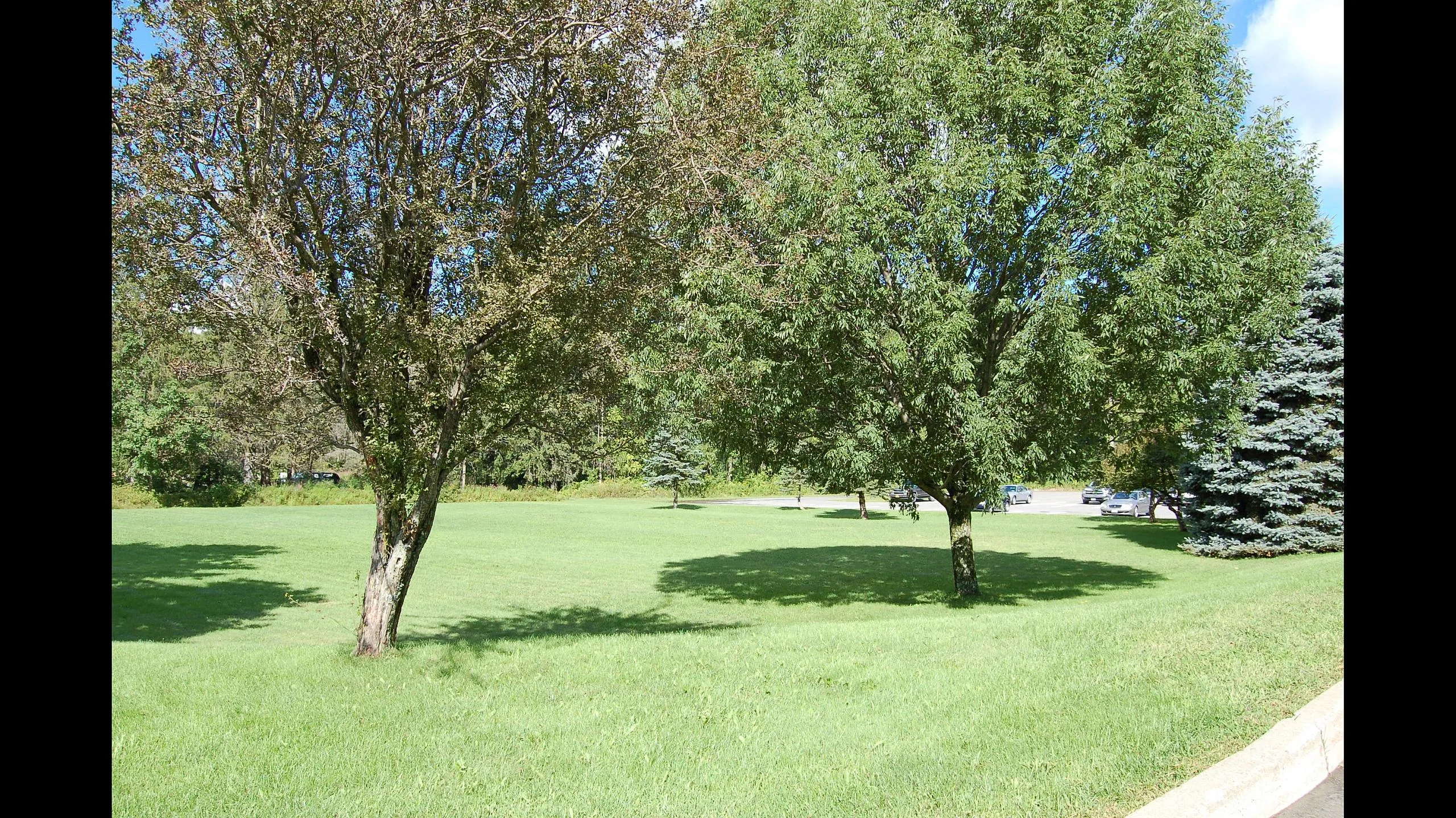 Landscaped outdoor green space for residents at Homeroom Lofts