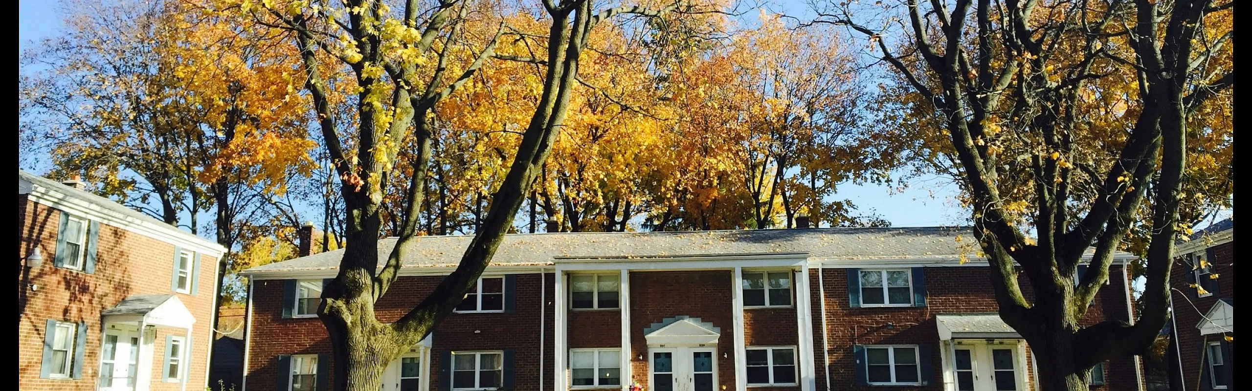 Brick apartment building with autumn trees and lawns at Adams Park Apartments in Albany, NY