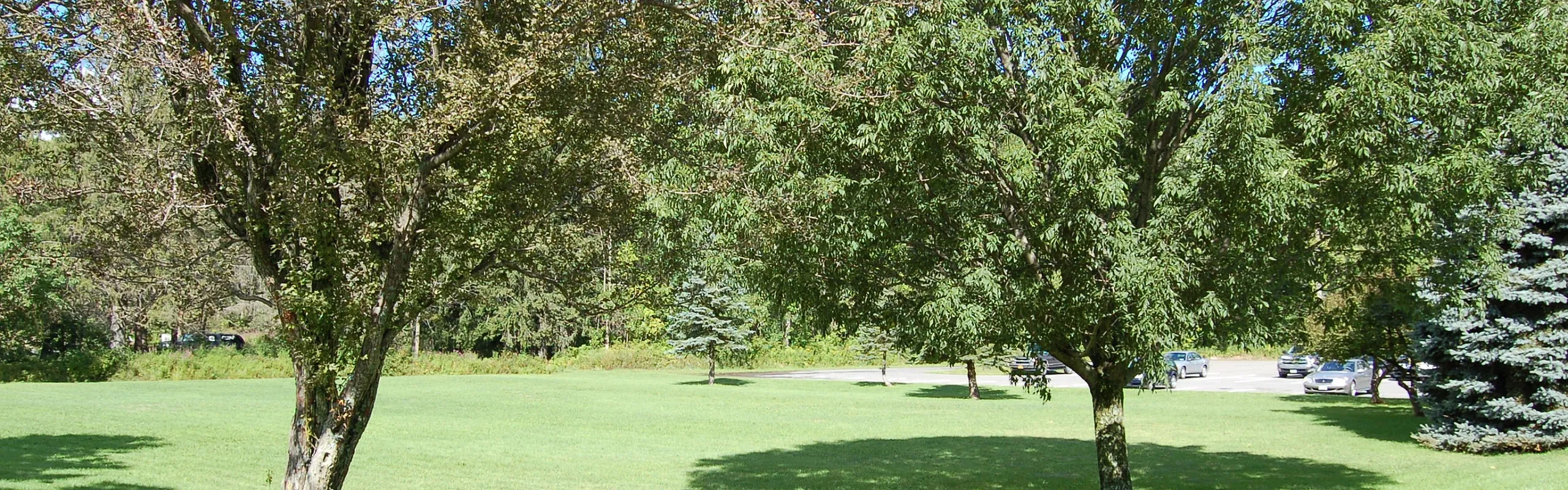 Shaded green space and mature trees on the grounds at Homeroom Lofts in Averill Park, NY