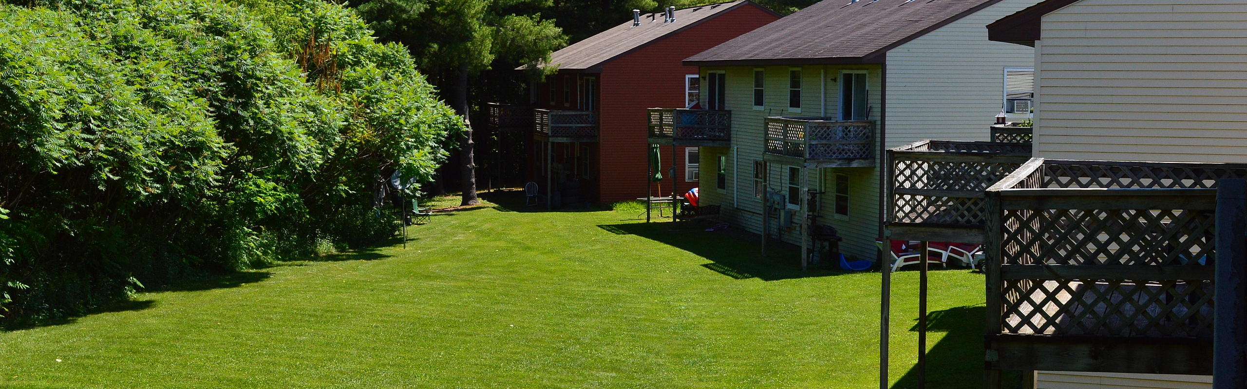 Open lawn and mature trees on the grounds at Pine Park Terrace in Waterford, NY
