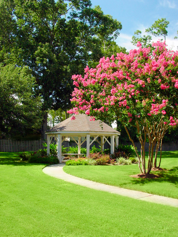 Image of Beautiful mature trees and landscaping with sidewalks and gazebo sitting area for Maison Bocage Apartments
