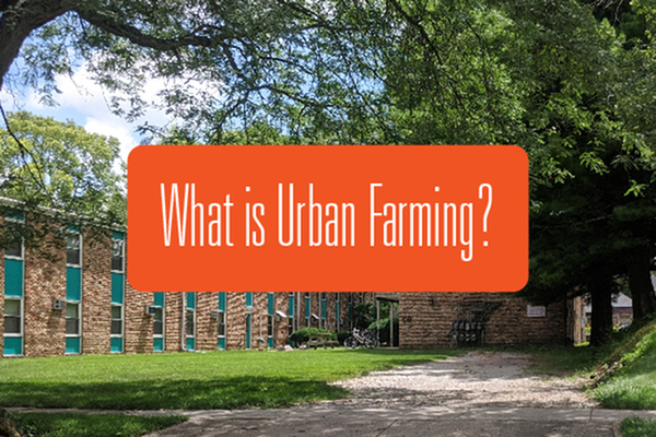 What is Urban Farming?-image