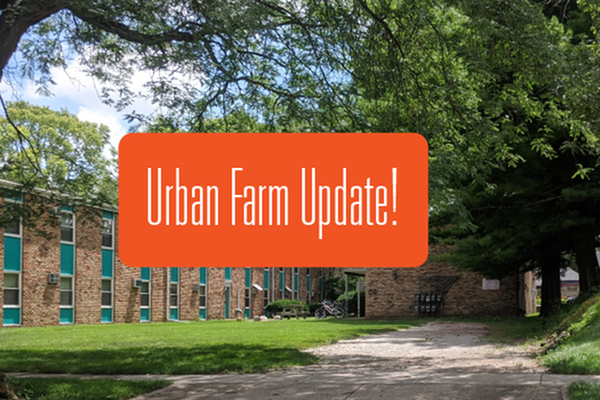 Urban Farm Update!-image