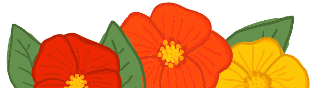 Illustrated poppies