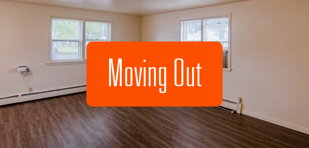 How to Make Moving Out a Breeze-image