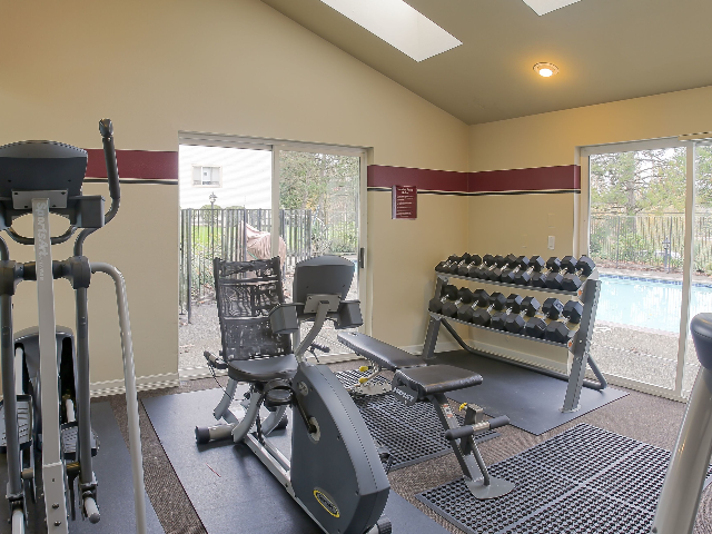 gym