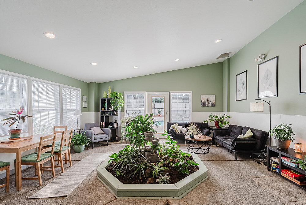 Inviting living room with green walls, abundant natural light, lush indoor plants, cozy seating, and charming decor.