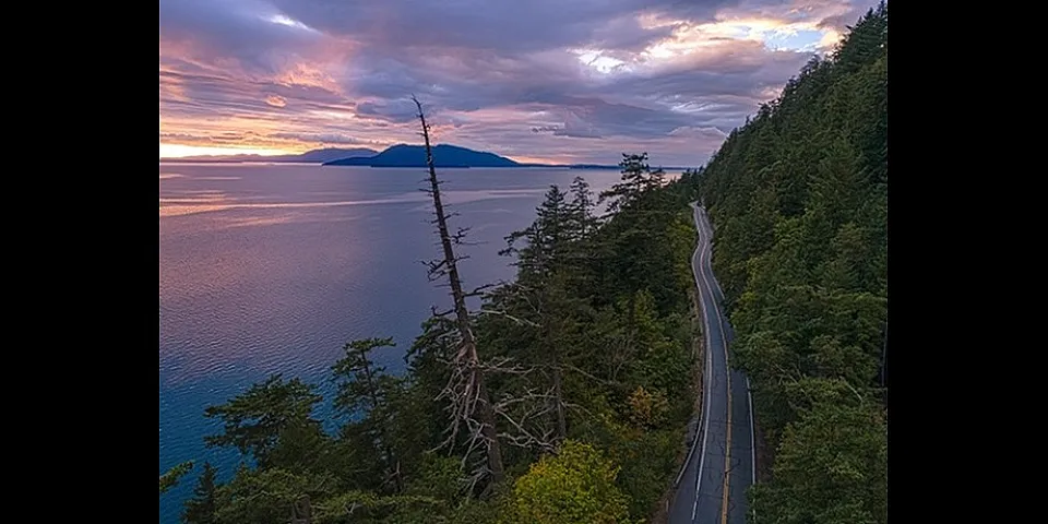 Scenic coastal road lined with lush green forest and expansive ocean views at sunset.