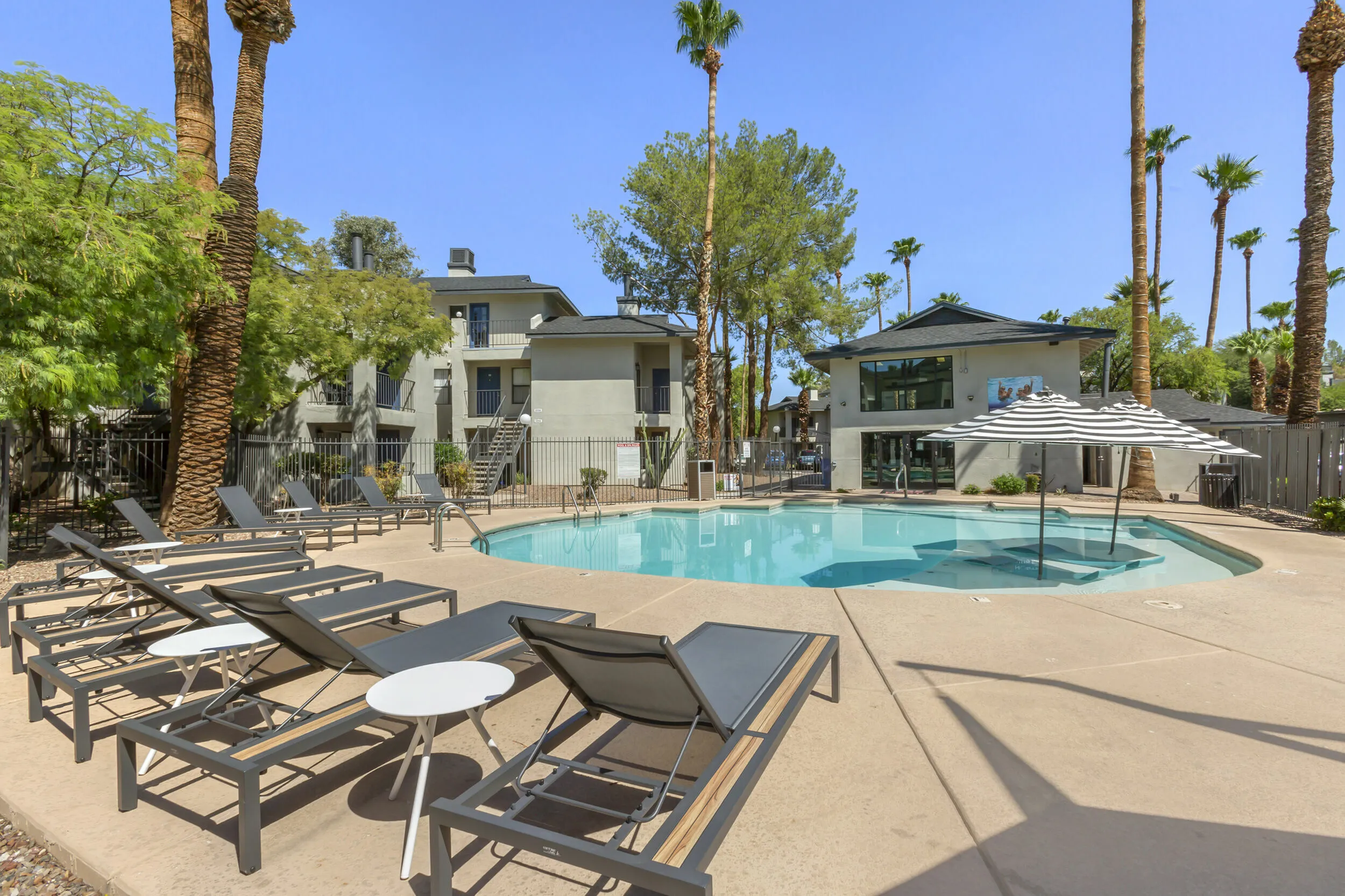 255 North resort-style pool with lounge seating and lush palm tree surroundings in Tucson Arizona