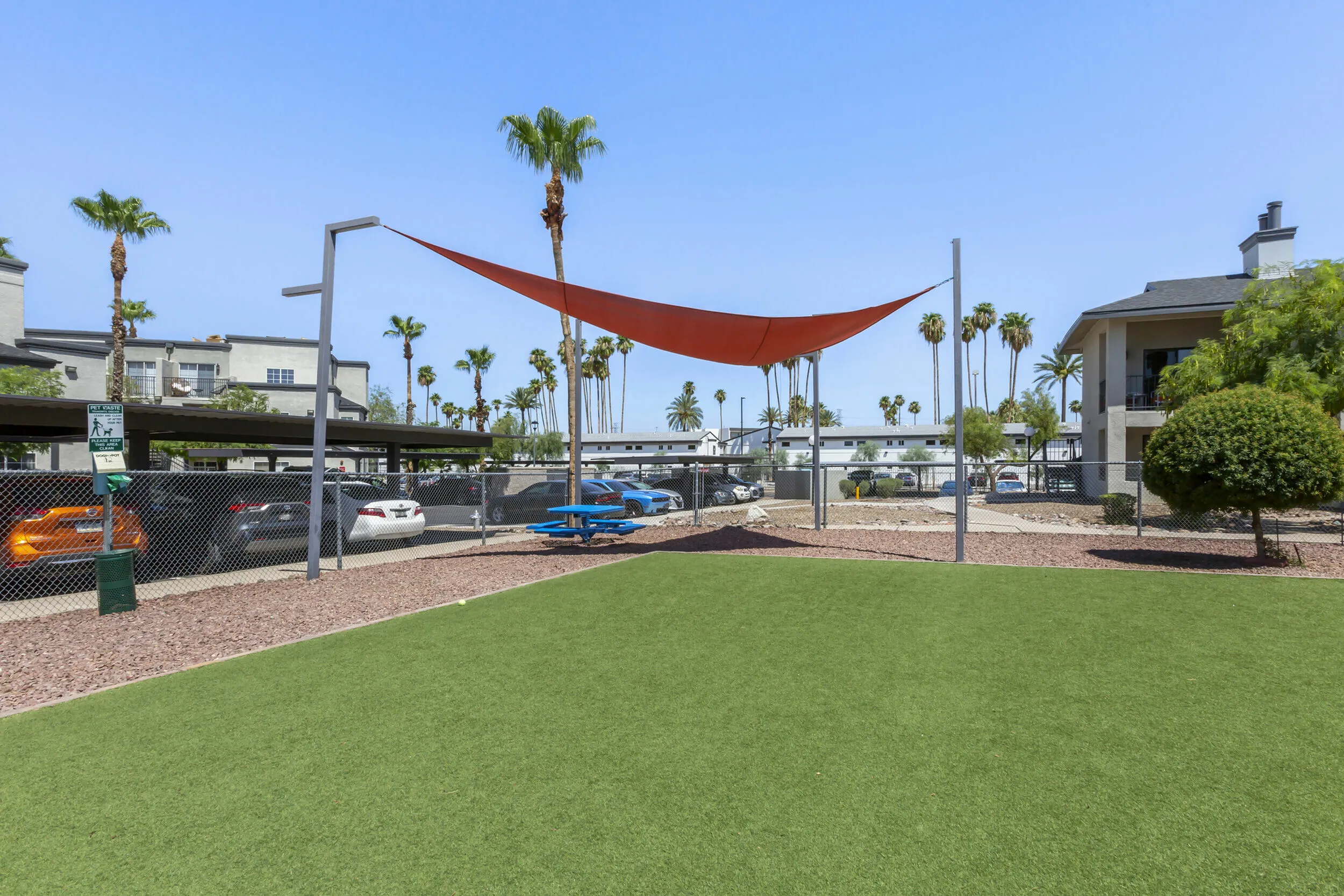 255 North spacious pet-friendly dog park where residents can walk and play with their dogs in Tucson AZ