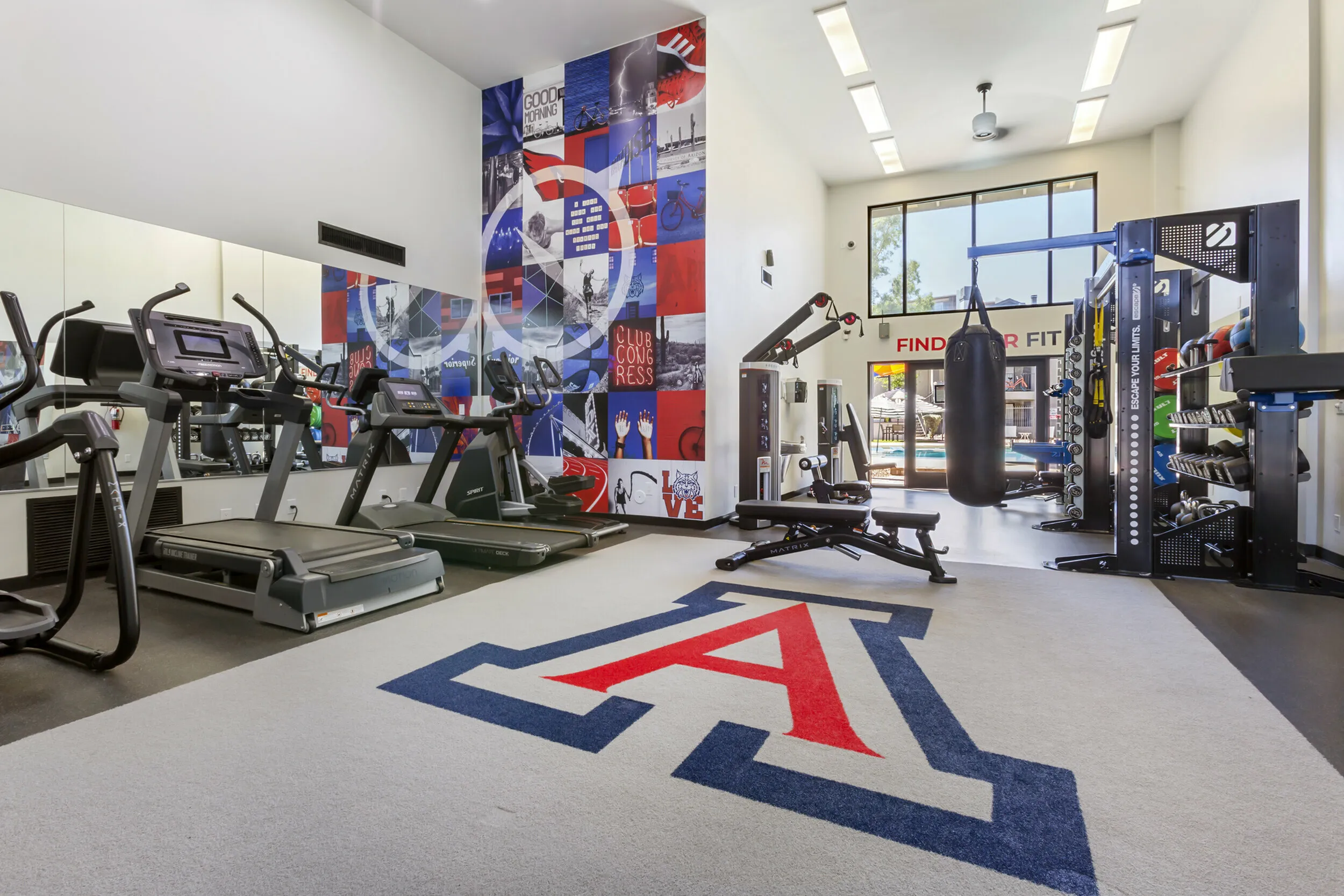 255 North amenity fitness center with cardio machines and strength training equipment in Tucson AZ