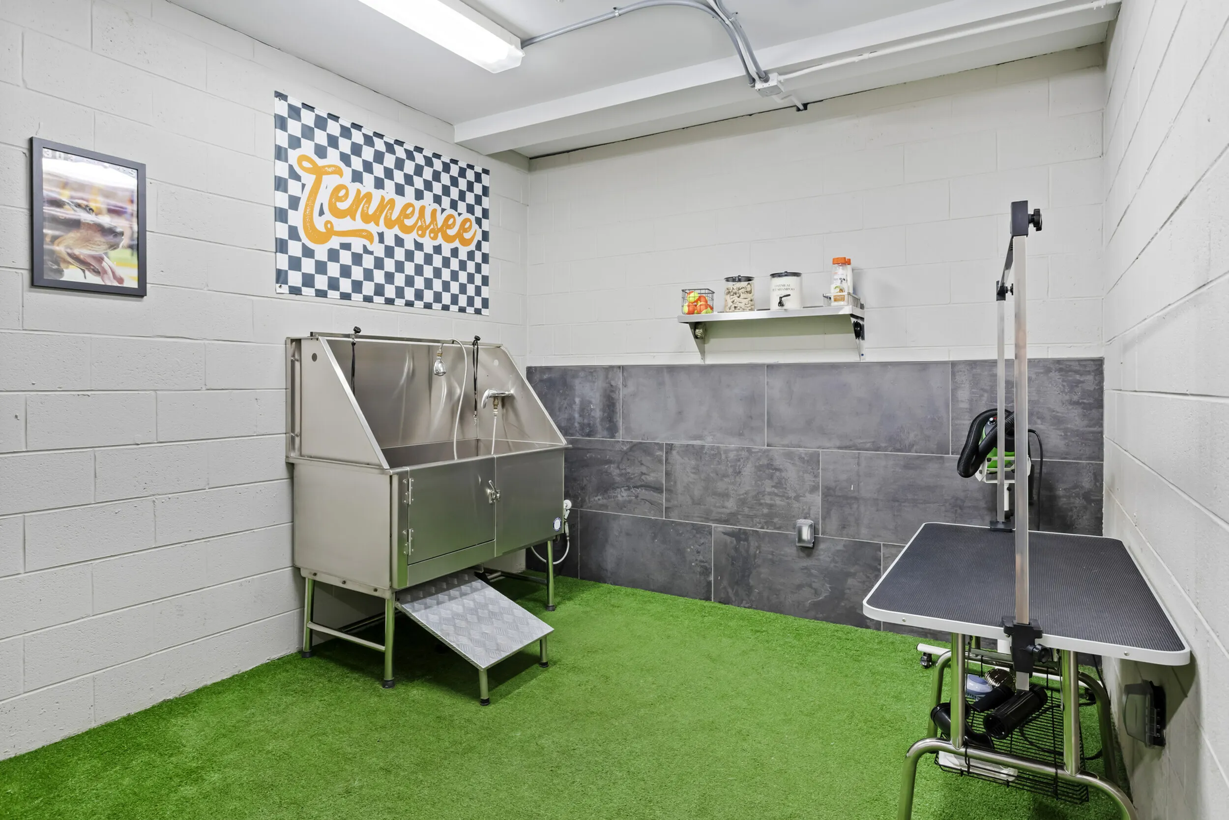 303 Flats on-site pet wash and grooming station for dogs and cats at Knoxville TN student apartments