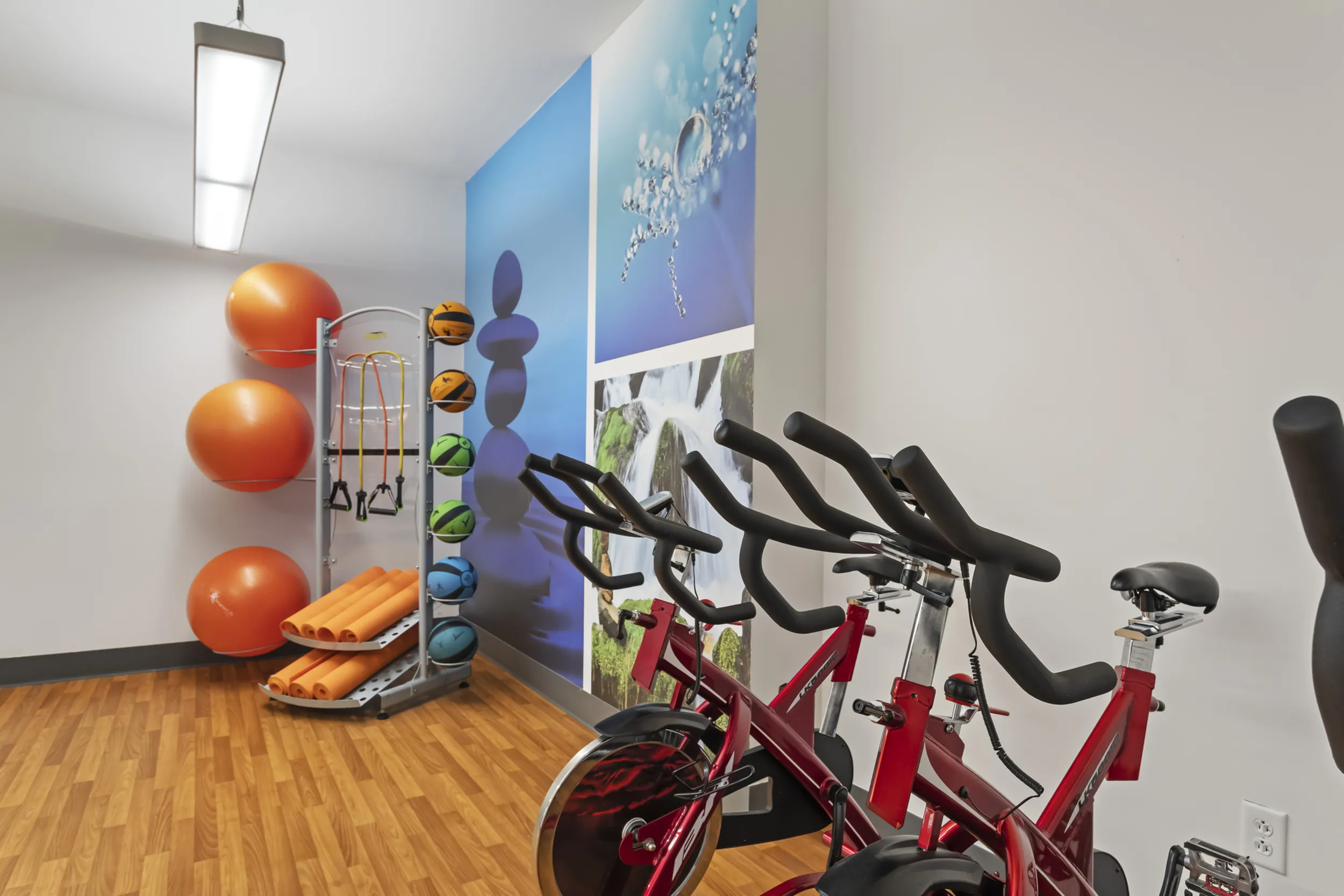 303 Flats Peloton bikes inside the yoga and fitness studio for resident workouts in Knoxville TN