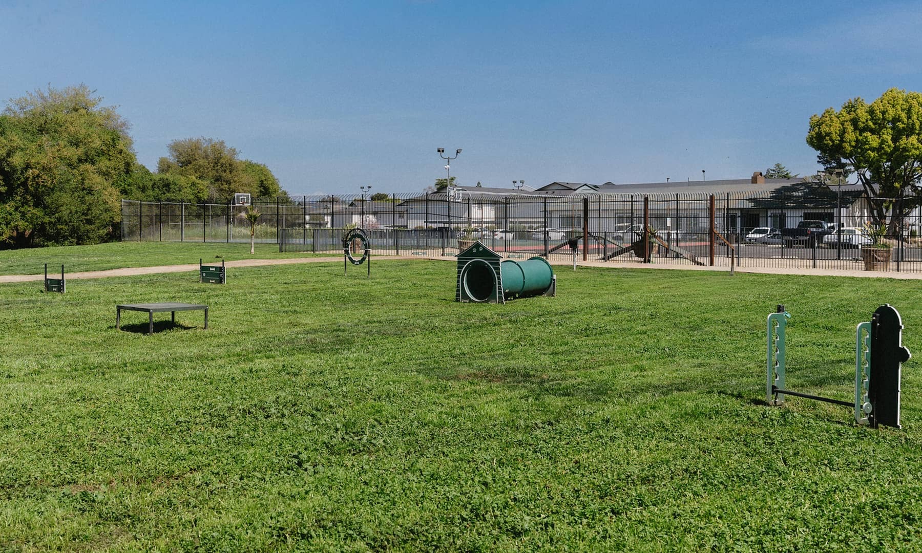 Phoenix Sacramento dog park with agility equipment, perfect for pet-friendly living in a serene community setting.