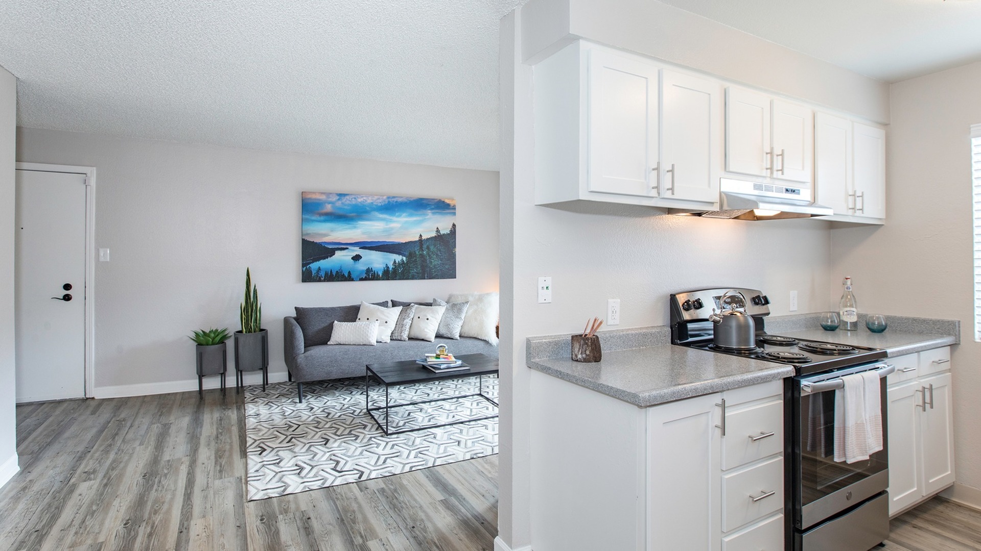 Phoenix Reno Apartment Interior