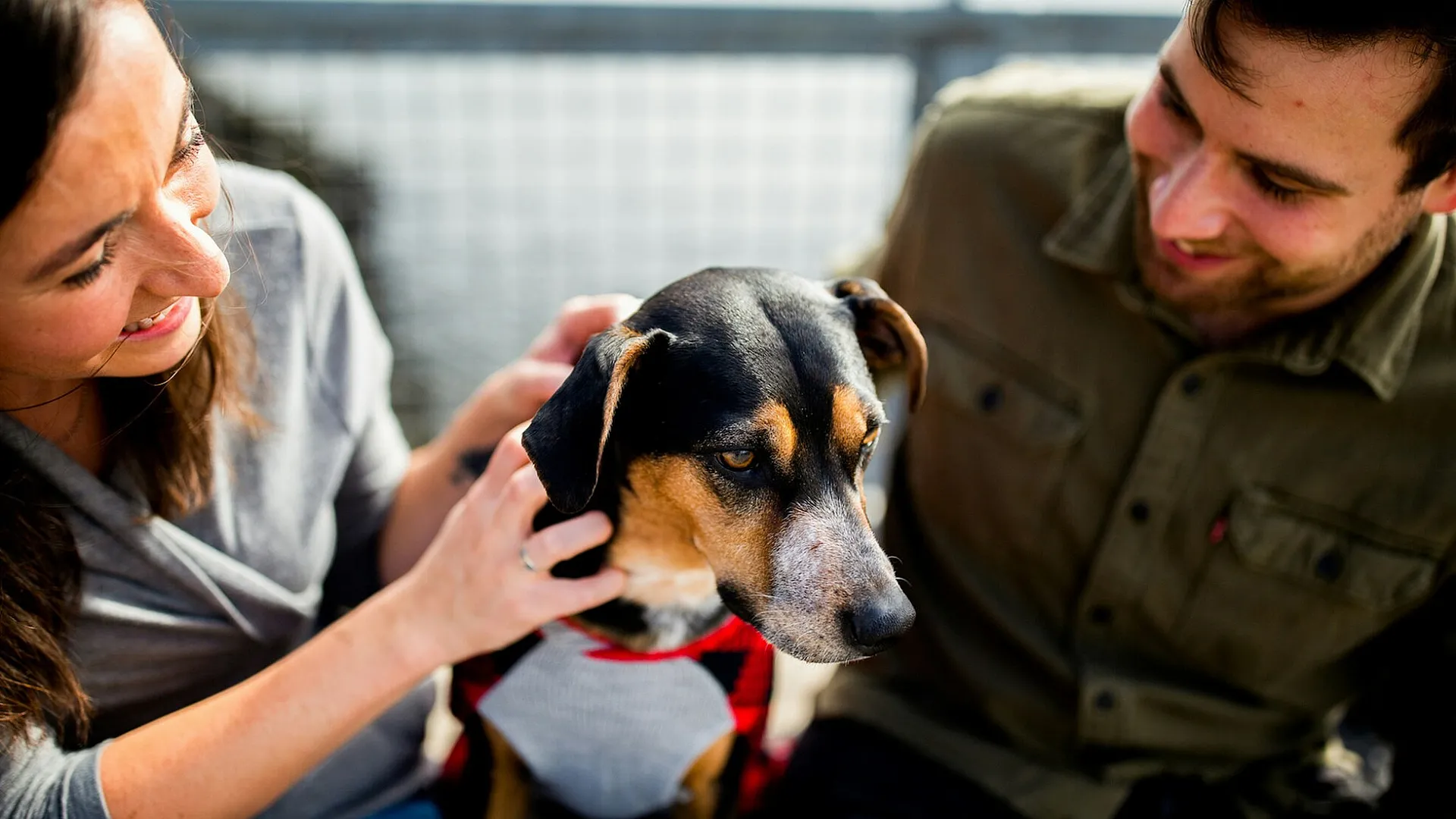 Resident with dog representing pet-friendly community at Totem Lake Heights apartments in Kirkland, Washington