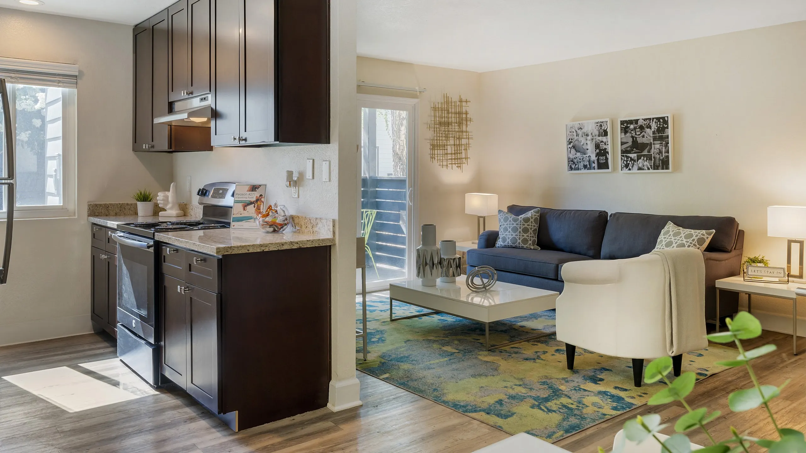 Phoenix Sacramento open-plan living and kitchen area with sleek dark cabinets, comfortable lounge, and abundant natural light.