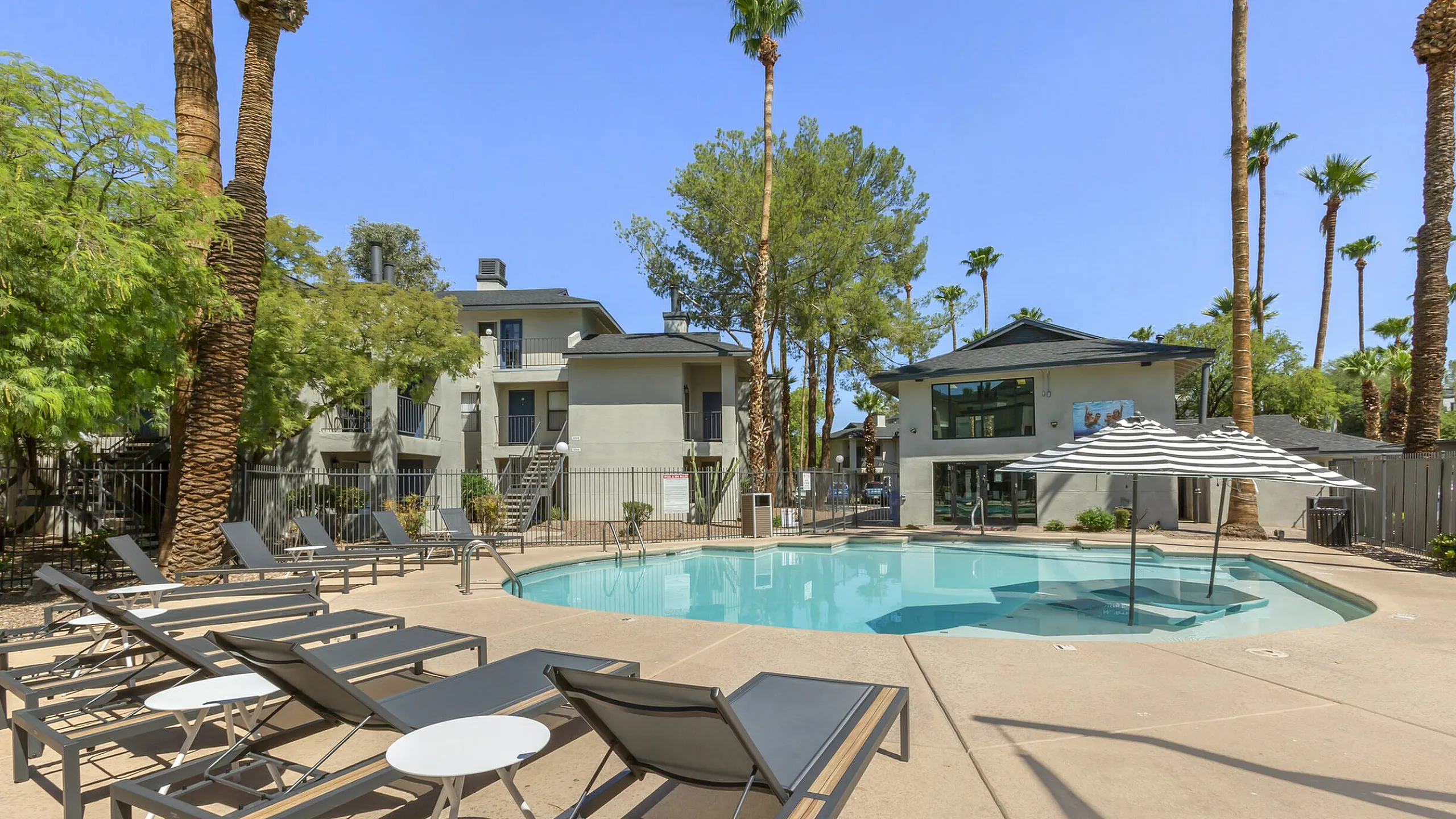 Sunlit pool area with palm trees and stylish loungers at 255 North apartments near Downtown Tucson, AZ