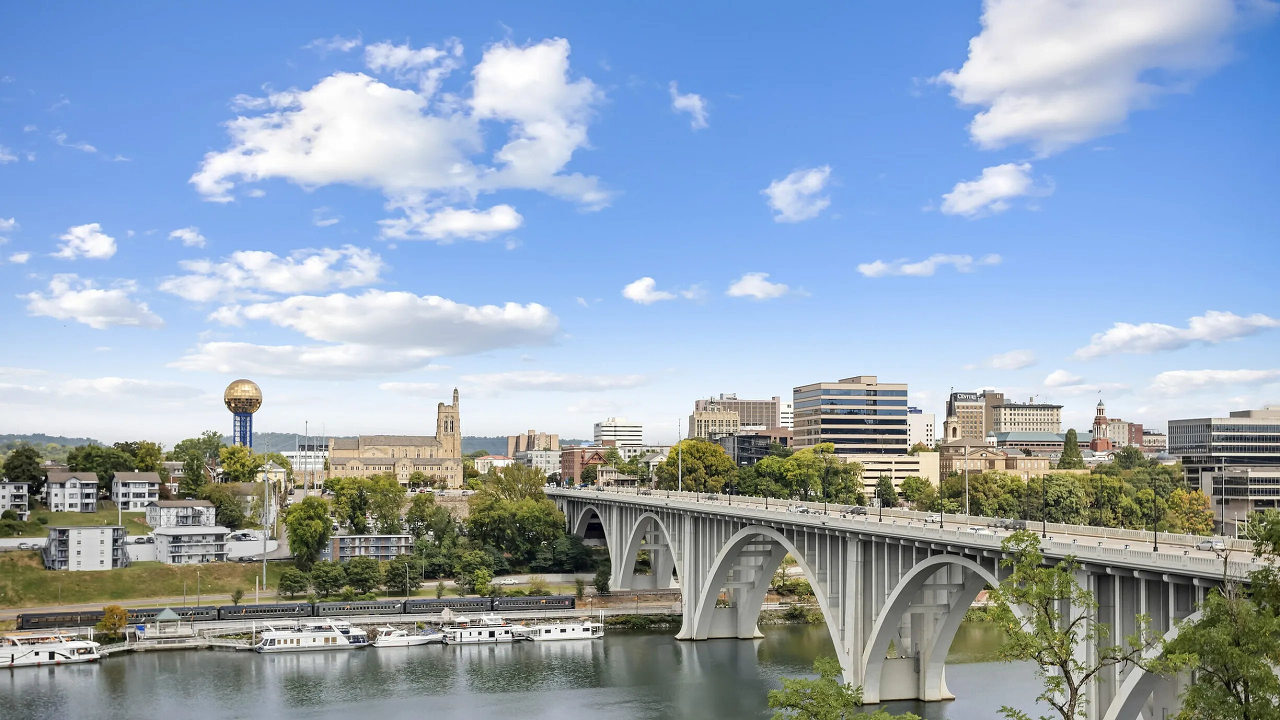 Vibrant Knoxville TN cityscape with a stunning bridge over a serene river, showcasing urban architecture and lush greenery under a bright blue sky.